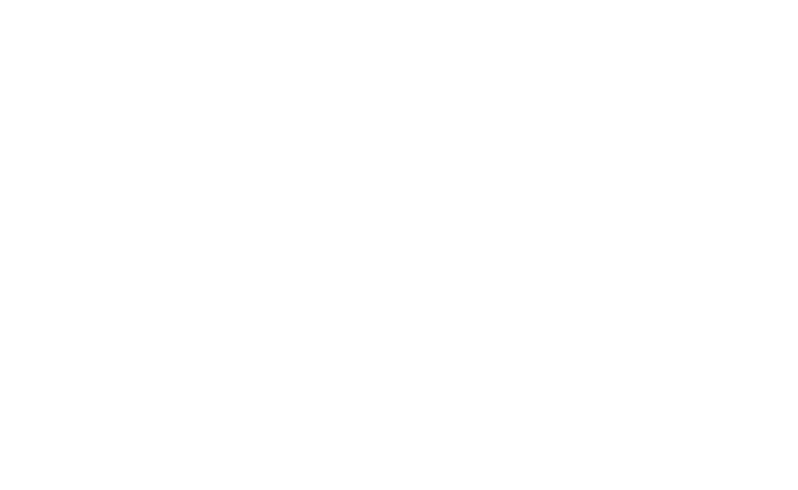 VIVA EMPANADAS LOGO-blanco